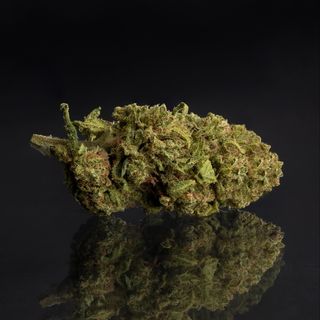 1g de flor de CBD Glasshouse