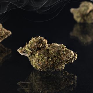 1g de flor de CBD Greenhouse