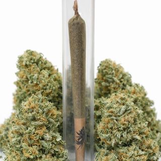 Pre-Roll High Tropical HPC 90%