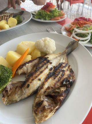 Robalo