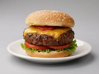 Hambúrguer à Brasão 