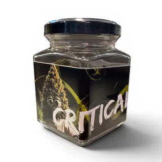 Critical 10G