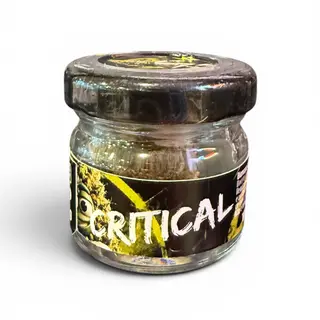 1G Critical