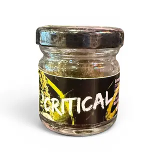 2G Critical