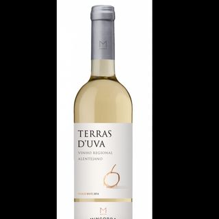 Terra de uva