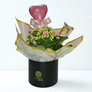 Mini Box com Kalanchoe e Chocolate 
