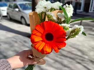 "Só Porque Pensei em Você”