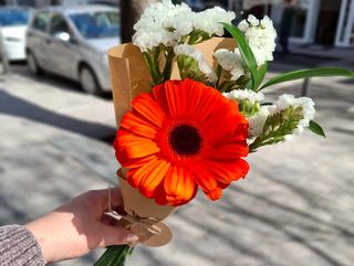 Flor Única - Dia da Mulher