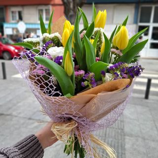 Tulipas Amor de Mãe