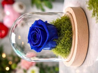 Rosa Preservada Azul