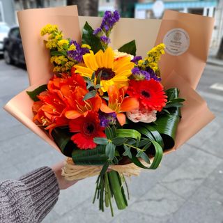 Surpresa De Última Hora