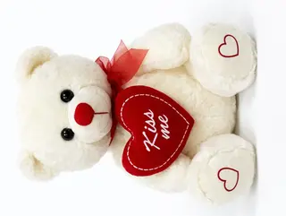 Urso de Pelúcia