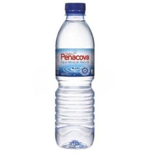 Agua 500ml