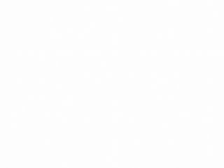 Hambúrguer Terra-Vegan