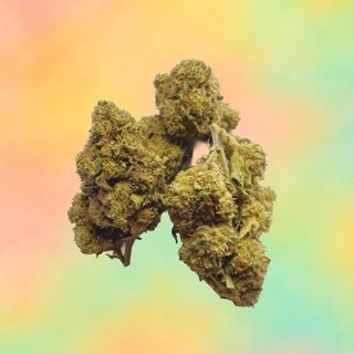 Tutti Frutti – 10% CBD - 2 Gramas