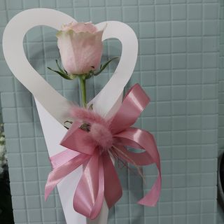 Caixa com uma rosa cor de rosa