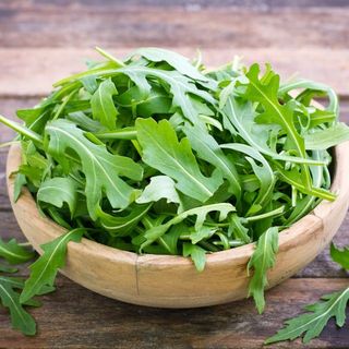 Rucola