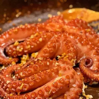 Polvo grelhado 