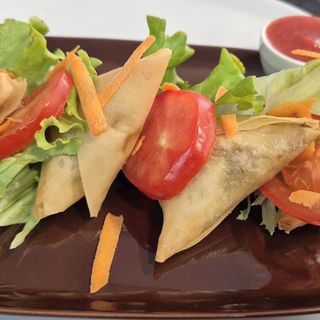 SAMOSA Vegetal