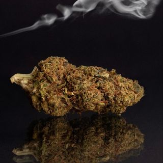 1g de flor de thcp