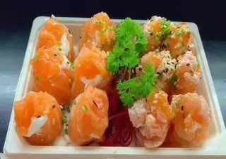 T14-Gukan Salmão
