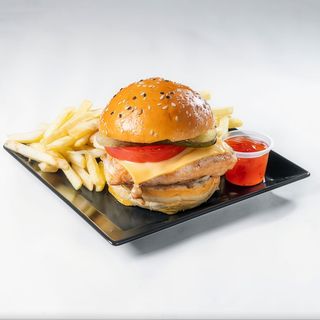 Tasty Chicken burger &Fries