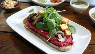 Tosta Terra