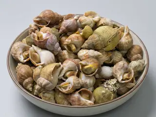 Búzios cozidos