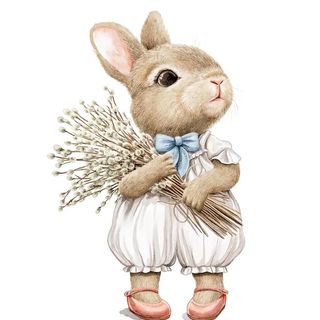 Regras e encomendas.