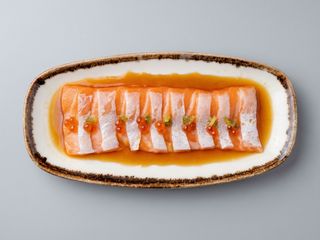 Salmon Toro 1 Dose