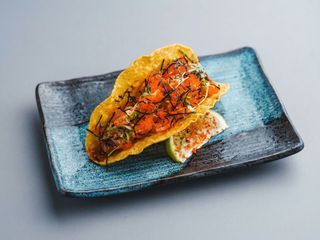 Taco - Sakana 1 Dose