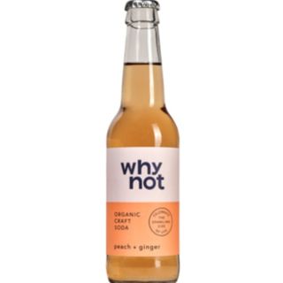 WHY NOT - PÊSSEGO E GENGIBRE