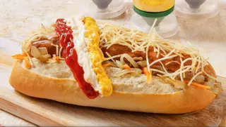 Cachorro da Casa