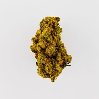 Amnesia Haze 5G - Indoor