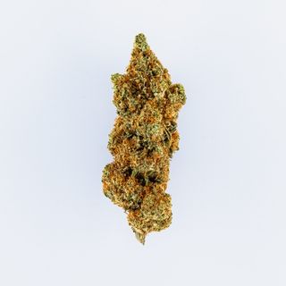 Gelonade 5G - Indoor