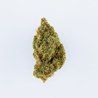 Glookies 5G - Indoor