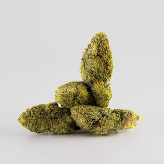 Og Rollex Cryo Thcp 5G