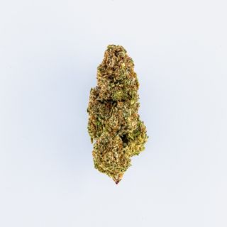 Zushilato 5G - Indoor