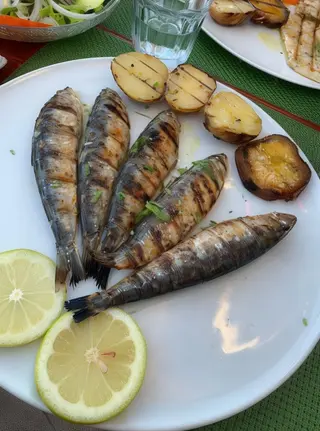 Sardinhas