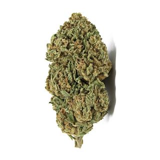 Dreams Berry - Outdoor 10G