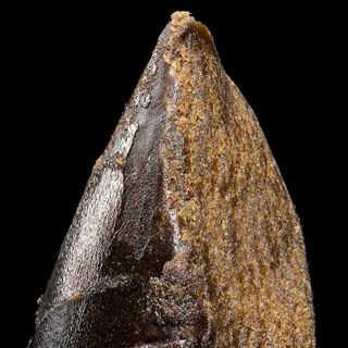 Weneed Hash CBN Cream 2g