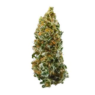 VittaCBD  Cannatonic  (Greenhouse) - Colheita 2023