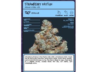 Flor de CBD Strawberry Payton (2g)