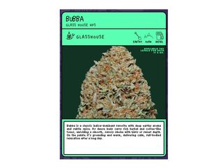Flor de CBD Bubba (GlassHouse) 2g