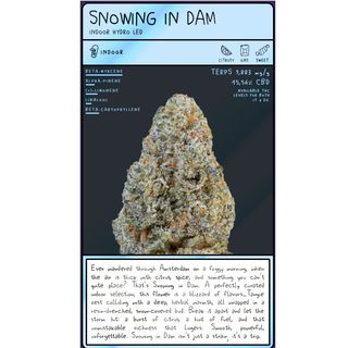 Flor de CBD Snowing in Dam (2g)