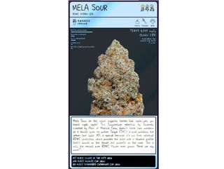 Flor de CBD Mela Sour (2g)