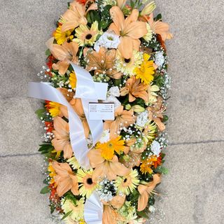 Palma - Tons Amarelos, Laranja e Verde