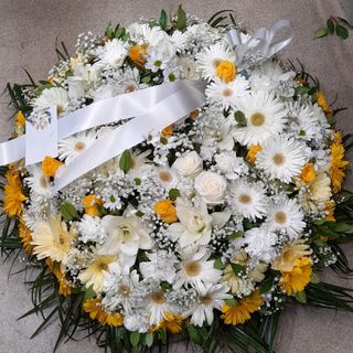 Coroa Gerberas e Rosas (unisex)