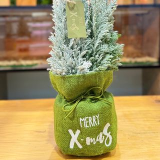 Pinheirinho de Natal