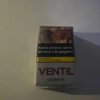 Vintil Gigante